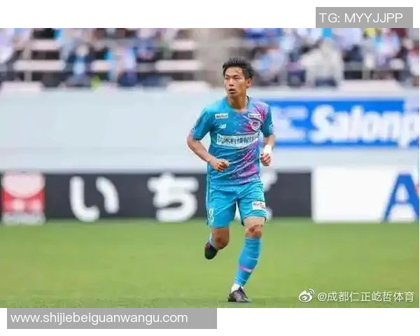 运动新闻柏太阳与鸟栖沙激战在即谁能在这场较量中笑到最后